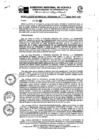 Vista preliminar de documento RGR0310-2023-GRI