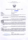 Vista preliminar de documento RD Nº000261