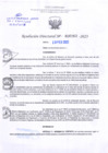 Vista preliminar de documento RD Nº000262
