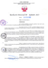 Vista preliminar de documento RD Nº000263 