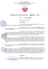 Vista preliminar de documento RD Nº000265 