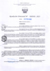 Vista preliminar de documento RD Nº000266 