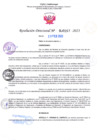 Vista preliminar de documento RD Nº000267 