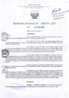 Vista preliminar de documento RD Nº000270 