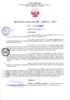 Vista preliminar de documento RD Nº000271