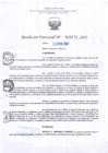 Vista preliminar de documento RD Nº000272