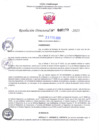 Vista preliminar de documento RD Nº000273 