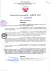 Vista preliminar de documento RD Nº000276 
