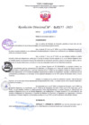 Vista preliminar de documento RD Nº000277 