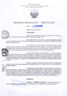 Vista preliminar de documento RD Nº000278 