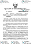 Vista preliminar de documento RDE 00032-2021-ARCC-DE