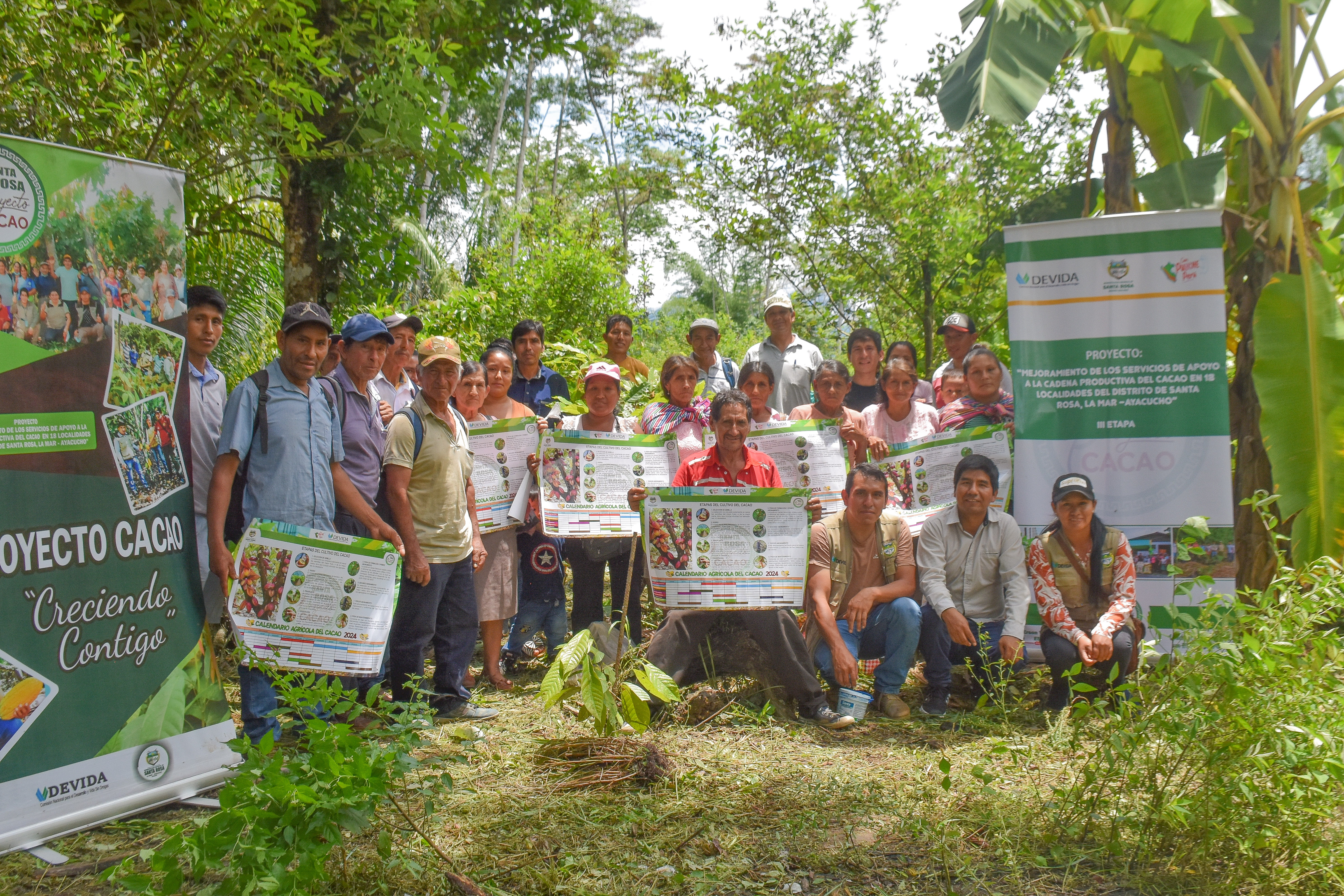 Vraem: Más de 1000 familias se especializan en la poda de plantones de cacao en Santa Rosa