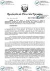 Vista preliminar de documento RDE 00035-2021-ARCC-DE