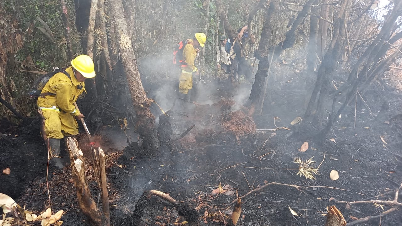 Incendio forestal San Martín