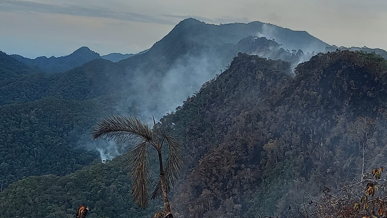 Incendio forestal San Martín