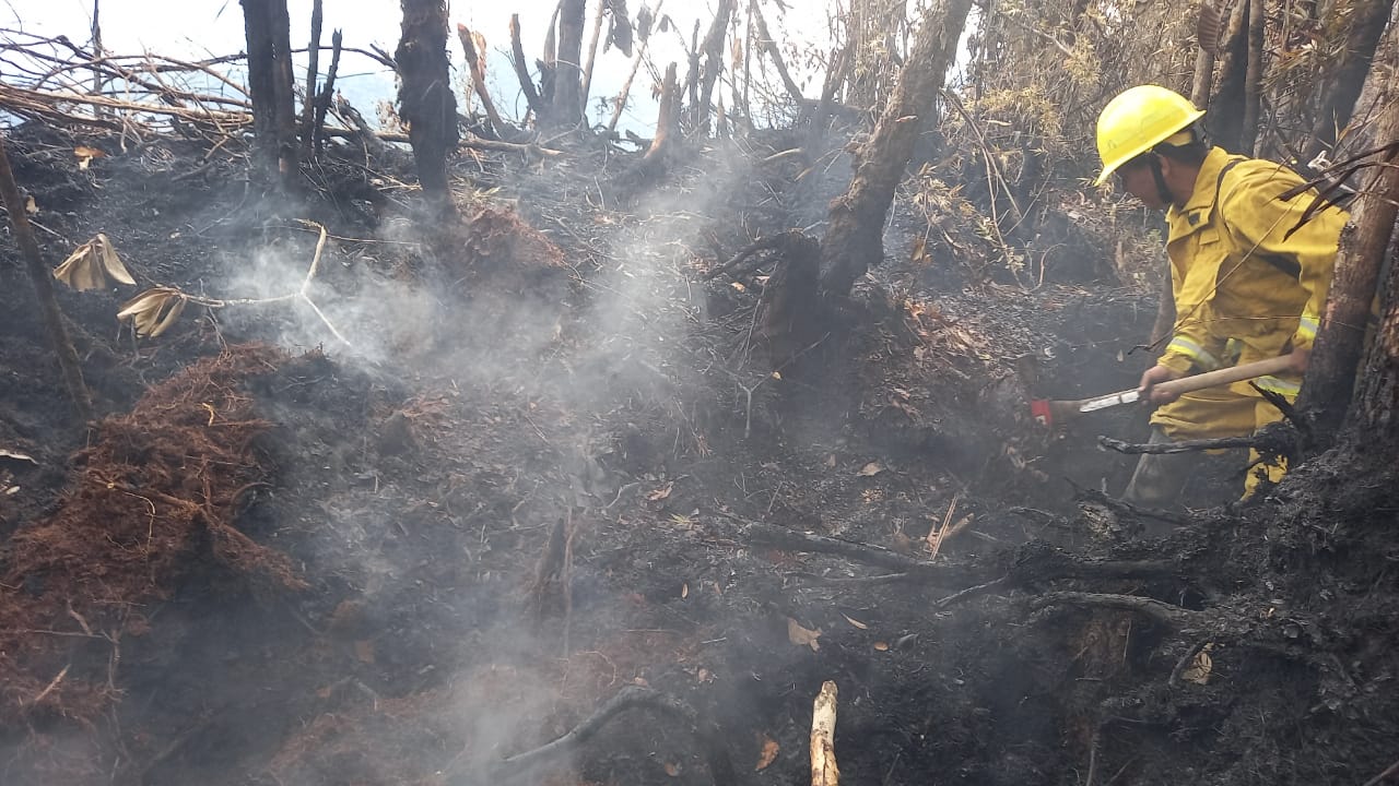 Incendio forestal San Martín