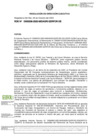 Vista preliminar de documento RDE-000236-2023-DE