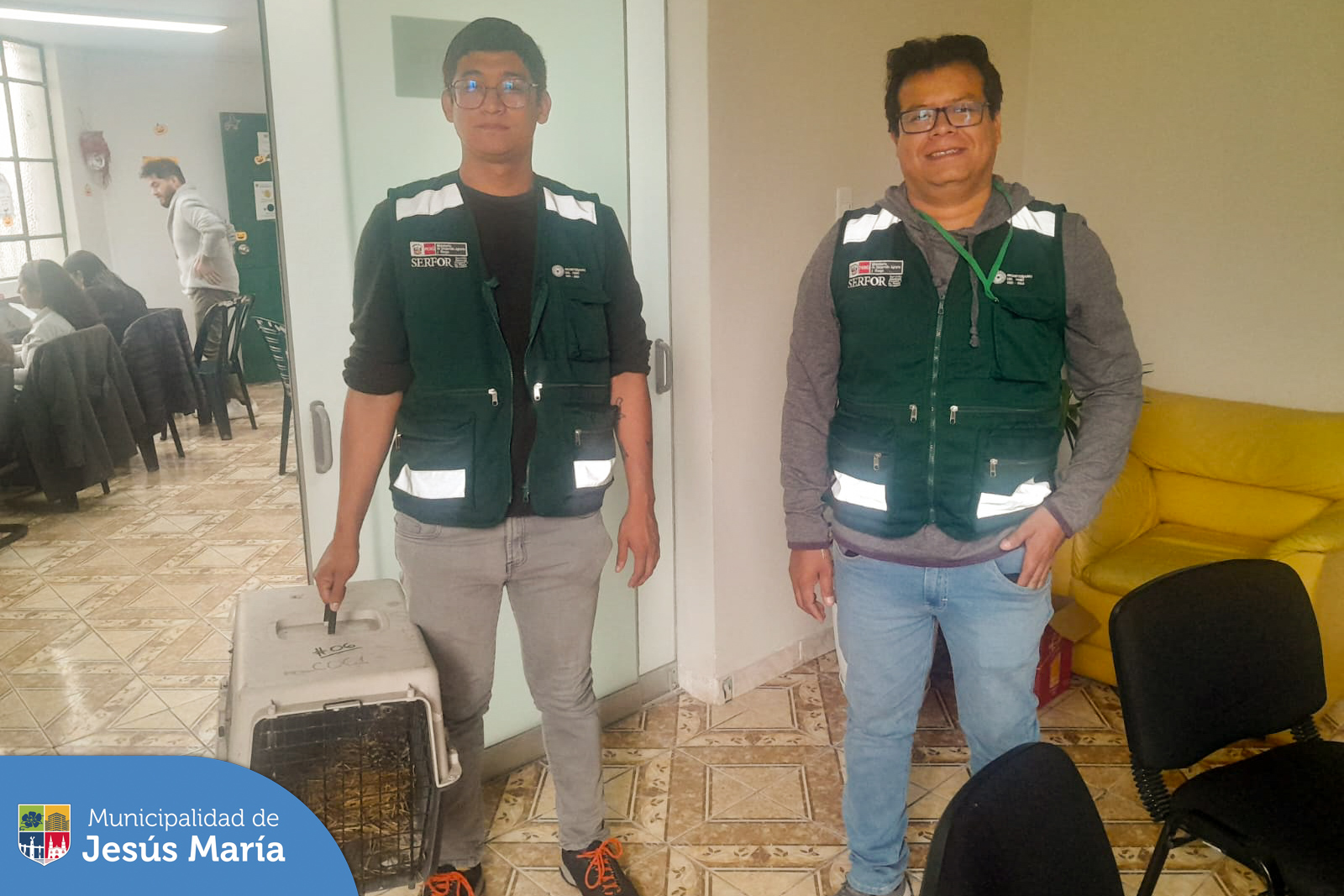 Nuestro equipo de Serenazgo encontró una lechuza de los Arenales en las inmediaciones de la Av. Salaverry. 🌿 Inmediatamente, fue llevada a nuestra base central para su protección, confirmando que el animal se encuentra estable y saludable. 💪
Promoviendo la gestión sostenible de nuestra fauna silvestre, nos comunicamos con @SERFOR, quiénes la recogieron para asegurar su seguridad y bienestar.