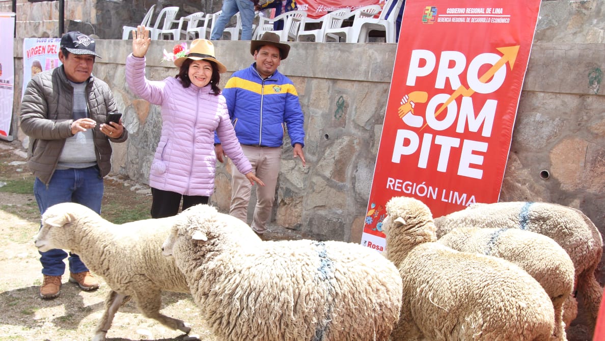 Programan lanzamiento del Fondo Concursable Procompite 2024