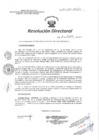 Vista preliminar de documento RD N° 017-2017-HCH-DG
