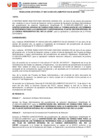 Vista preliminar de documento RJ 114-2023 BASES AS 21-2023 SERV CONSULTORIA FORMULACION TDR SUP