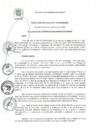 Vista preliminar de documento RA 102-2020