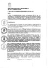 Vista preliminar de documento RA-559-MDSL-2022