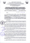 Vista preliminar de documento 2022-12-23_RGR_1504-2022-GOREMAD-GRFFS