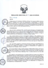Vista preliminar de documento RD Nº 023-2020-DE