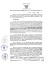 Vista preliminar de documento RORA. 395