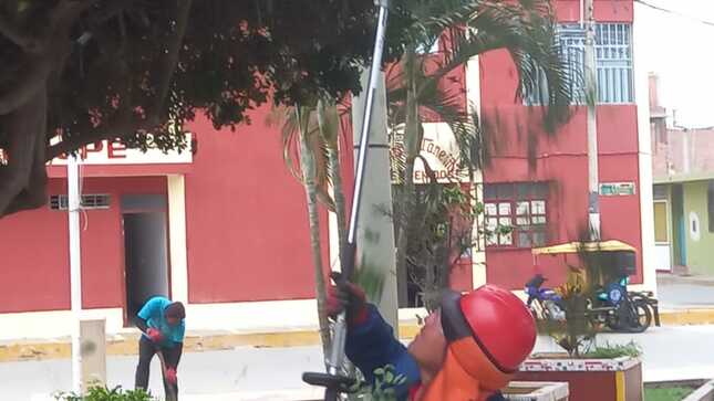 PODA