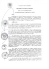 Vista preliminar de documento RA 120-2020
