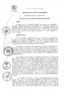 Vista preliminar de documento RA 122-2020