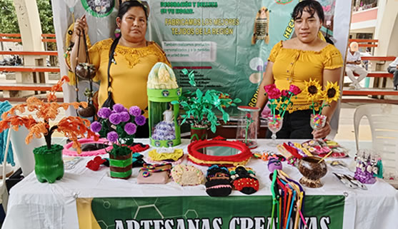 I.EB.R. de Palotoa (Ugel Manu) logra el mayor puntaje en etapa regional del Concurso "Crea y Emprende”.