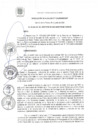 Vista preliminar de documento RA 123-2020