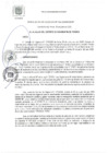 Vista preliminar de documento RA 124-2020