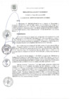 Vista preliminar de documento RA 125-2020