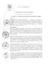 Vista preliminar de documento RA 128-2020