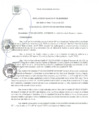 Vista preliminar de documento RA 129-2020