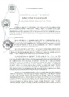 Vista preliminar de documento RA 130-2020
