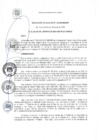 Vista preliminar de documento RA 132-2020