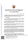 Vista preliminar de documento RDR-1410-2023-DRELM