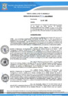 Vista preliminar de documento Resolucion Gerencial 874 QR