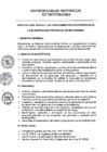 Vista preliminar de documento DIRECTIVA RG 874