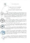 Vista preliminar de documento RA 133-2020