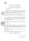 Vista preliminar de documento RA 135-2020