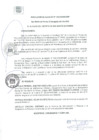 Vista preliminar de documento RA 136-2020