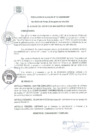 Vista preliminar de documento RA 137-2020