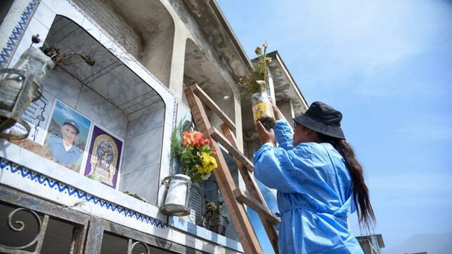 Minsa realiza intervención sanitaria contra el dengue en el cementerio más grande de Latinoamérica