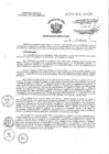 Vista preliminar de documento RD N° 313-2018-HCH-DG